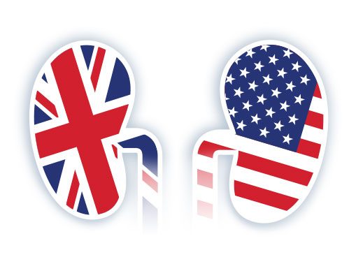 Kidney icons with UK and US flag to illustration collaborative study
