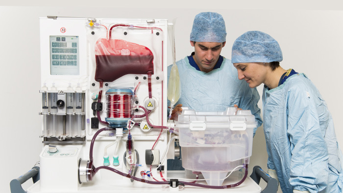 Game changers: At the forefront of organ perfusion technology
