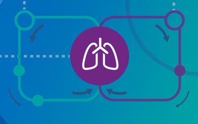 Will organ perfusion transform transplantation?