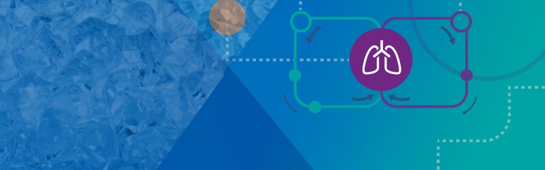 Game changers: At the forefront of organ perfusion technology | UNOS