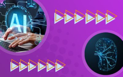 Using AI to identify kidney anatomy issues
