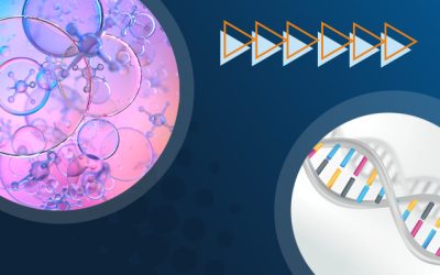 The public supports organ transplants from pigs