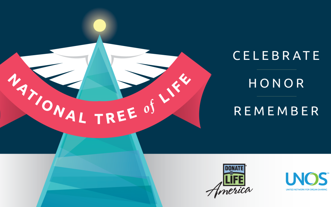 Dec. 16, 2024: Join UNOS and Donate Life America for the National Tree of Life event