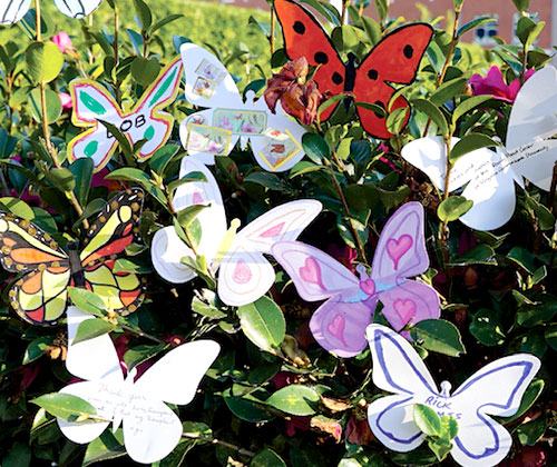 Butterflies painted by community