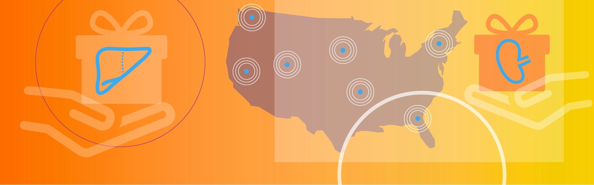 illustration of living donation allocation in USA