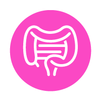 Pink circle with white outline drawing of a colon and small intestines