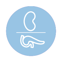 Light blue circle with white horizontal line in center outline drawing of a kidney above the line and pancreas below the line
