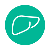 teal circle with line icon of liver