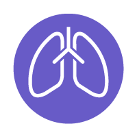 lung icon