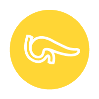 yellow circle with line icon of pancreas