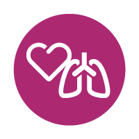 reddish-purple circle with line icon of heart and lungs
