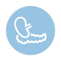 light blue circle with line icon of a kidney and a pancreas