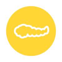 yellow circle with line icon of pancreas