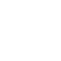 lightbulb icon