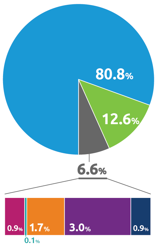 Pie chart showing 2022 expenses by colored sections