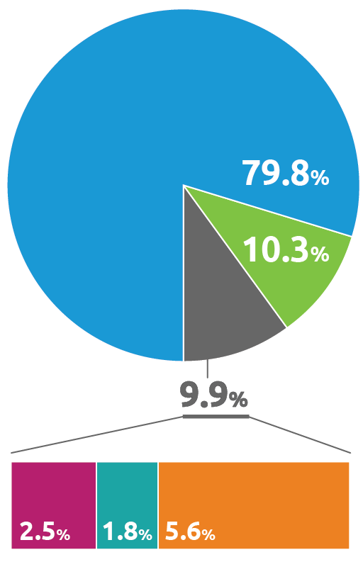 Pie chart showing 2022 revenues by colored sections