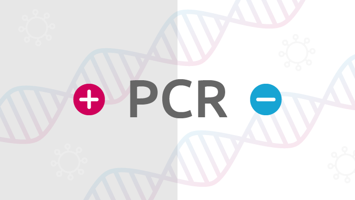 potential risks associated with PCR positive and PCR negative donors