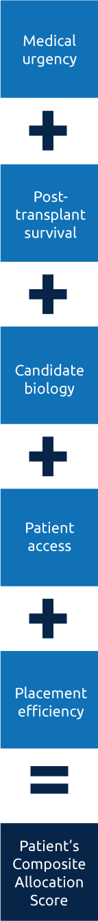 continuous-distribution-total-score-equation-mobile Specific attributes labeled in boxes in a line next to each other separated by plus signs. Medical urgency plus post-transplant survival plus candidate biology plus patient access plus patient efficiency equal a patient’s composite allocation score.