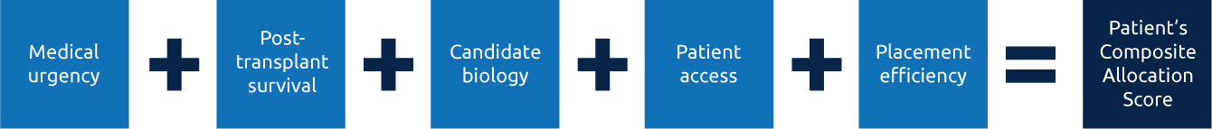 continuous-distribution-total-score-equation Specific attributes labeled in boxes in a line next to each other separated by plus signs. Medical urgency plus post-transplant survival plus candidate biology plus patient access plus patient efficiency equal a patient’s composite allocation score.