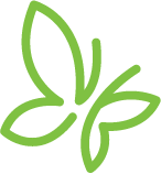 icon-green-butterfly Line art of flying green butterfly