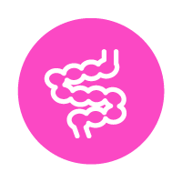 icon-intestine-200x200x magenta circle with line icon of intestines