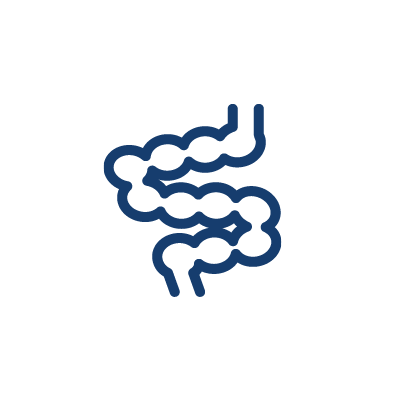 intestine icon