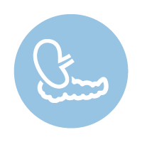 icon-kidney-pancreas-200x200x light blue circle with line icon of a kidney and a pancreas
