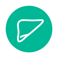 icon-liver-200x200x teal circle with line icon of liver