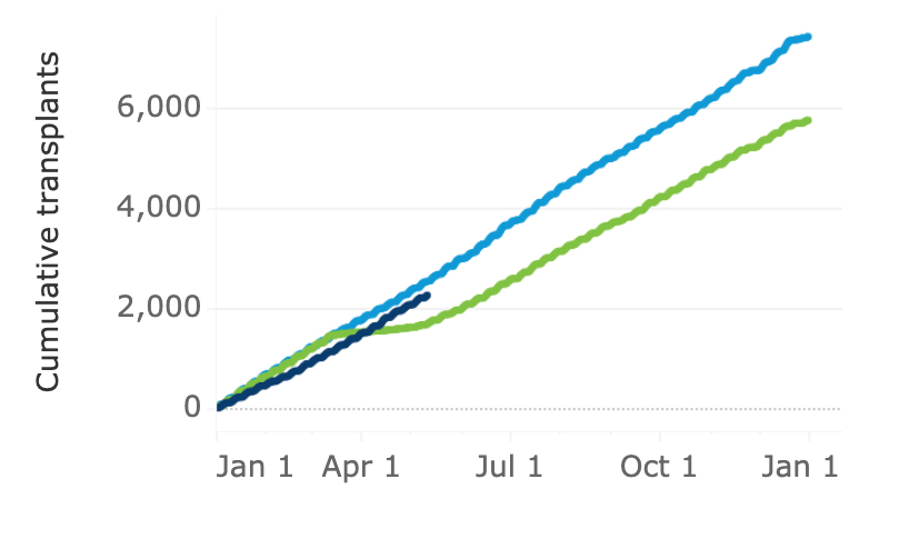 living-donor-transplants-051321 Line chart of living donor transplants with 2019 as light blue line; 2020 as green line; and 2021 as navy blue line